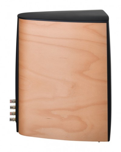 Acoustique Quality CANTO  - Audiofilska kolumna podstawkowa, dwudrożny zestaw o mocy 120W / SB ACOUSTICS (7)
