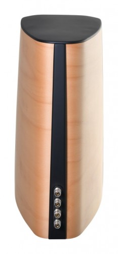 Acoustique Quality CANTO  - Audiofilska kolumna podstawkowa, dwudrożny zestaw o mocy 120W / SB ACOUSTICS (8)