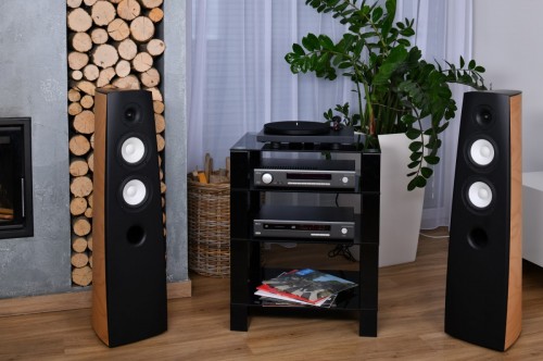 Acoustique Quality CANTO 5  - Audiofilska kolumna podłogowa, dwudrożna konstrukcja o mocy 230W / SB ACOUSTICS (13)