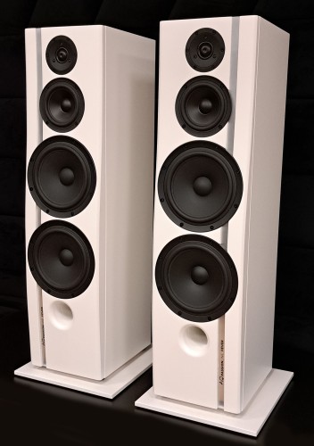 Acoustique Quality PASSION FEVER 