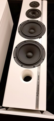 Acoustique Quality PASSION FEVER 