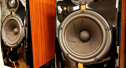 Acoustique Quality  PASSION TEEN 