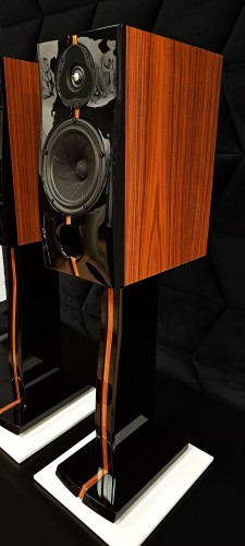Acoustique Quality  PASSION TEEN 