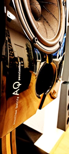 Acoustique Quality  PASSION TEEN 