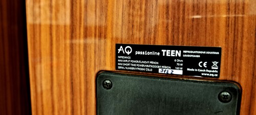 Acoustique Quality  PASSION TEEN 