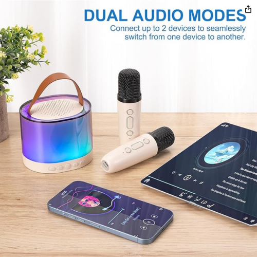 Bezprzewodowy Głośnik Karaoke z Dwoma Mikrofonami – Bluetooth 5.2, Hi-Fi 3D Bass, Efekty Dźwiękowe