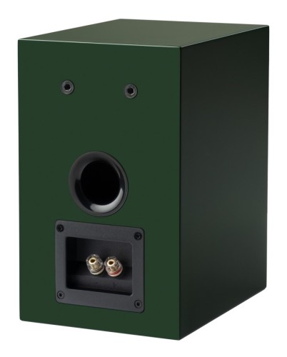 Pro-Ject Colorful Audio System E - System Hi-Fi typu „All-in-one” z gramofonem - Satynowa zieleń (8)