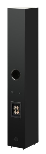 Pro-Ject Speaker Box 12 E Carbon - 2,5-drożny głośnik podłogowy - satynowa czerń (4)