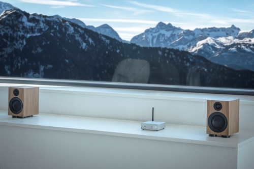 Pro-Ject Speaker Box 3 E Carbon - 2-drożny system głośników półkowych - orzech (6)