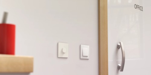 Fonestar DOT-30TR - regulator ścienny 100 V, 30 W (2)