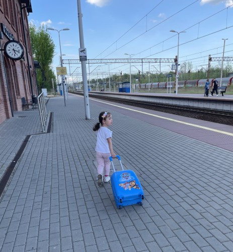 Walizka podróżna na kółkach Psi Patrol - niebieska duża (7)