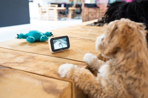 Alecto DVM200M - wideoniania z kolorowym wyświetlaczem, biały/antracyt (17)