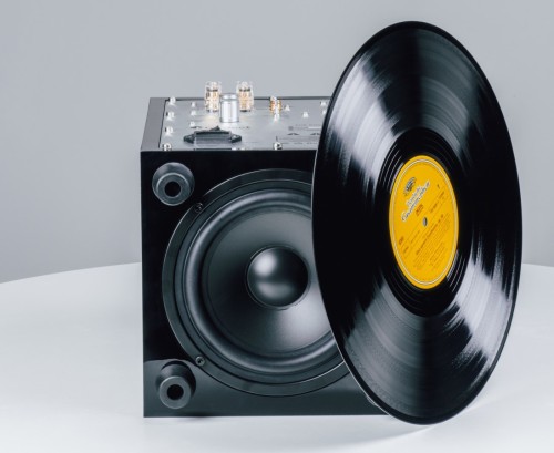 Pro-Ject Sub Box 50 E High Gloss Black - aktywny subwoofer 50 W RMS (2)
