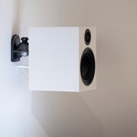 Obrazek 2 dla: ProJect Speaker Box 3 E Carbon  głośnik półkowy 2drożny  satynowa biel